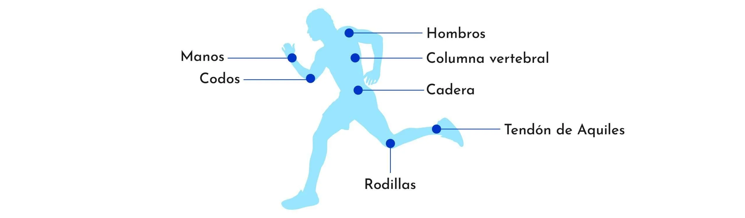 Artrosis en diferentes partes del cuerpo humano.