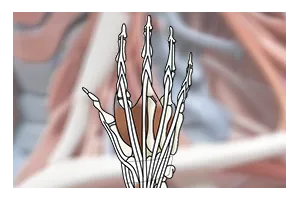 Mano