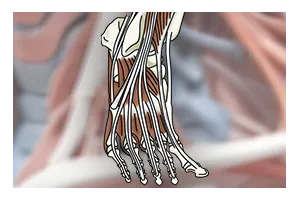Unitat del Dolor i Medicina Regenerativa