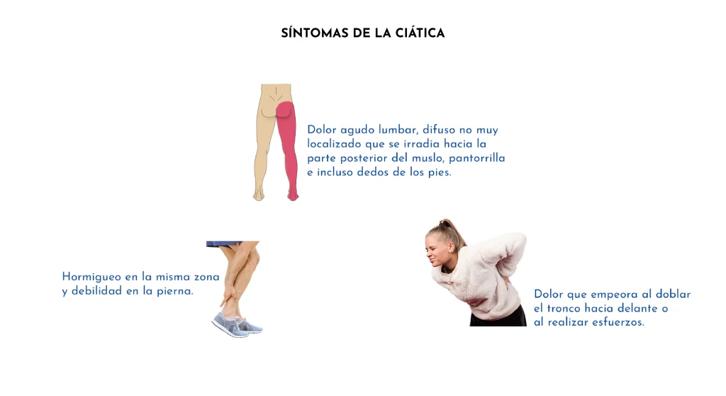 Protrusions, hèrnies discals i lumbociàtica