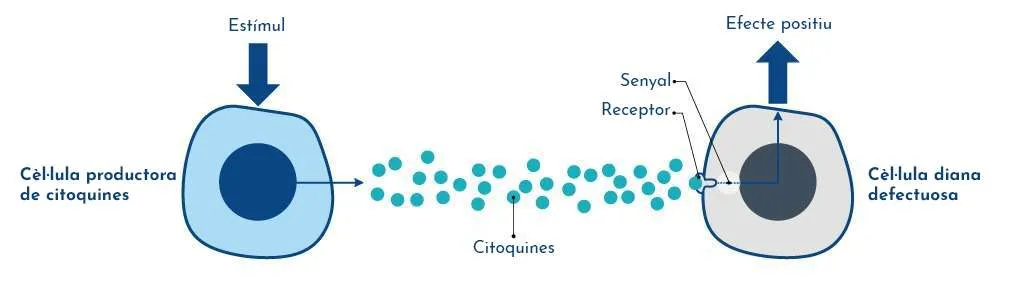 Citocines (SARC)