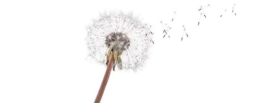 Especialitats mèdiques