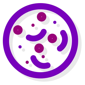 Exosomas