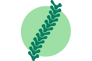 04_alineacion_vertebral
