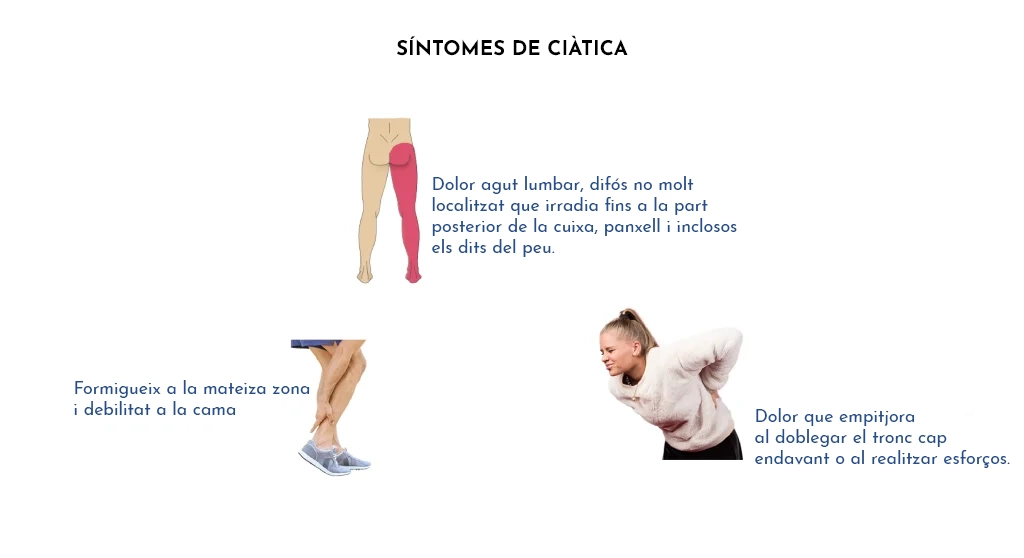 Protrusions, hèrnies discals i lumbociàtica